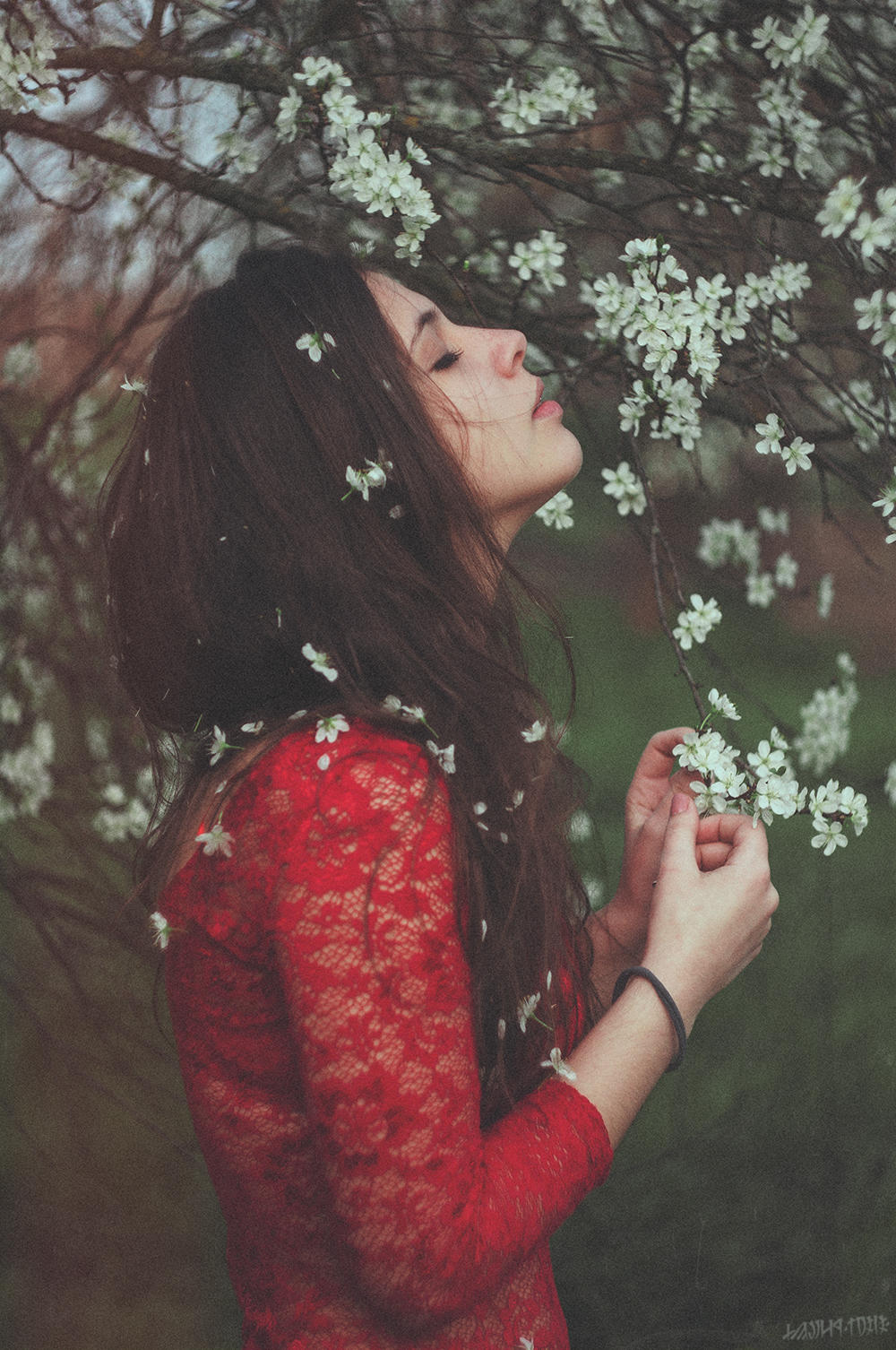 Diana by Norrington1