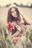 Dorina by Norrington1