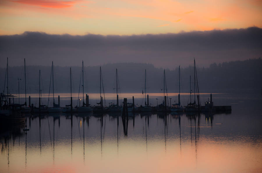 Stitch in time by ShannonCPhotography