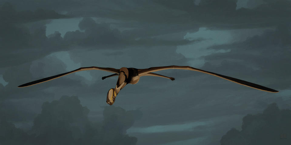 Tropeognathus mesembrinus by jconway