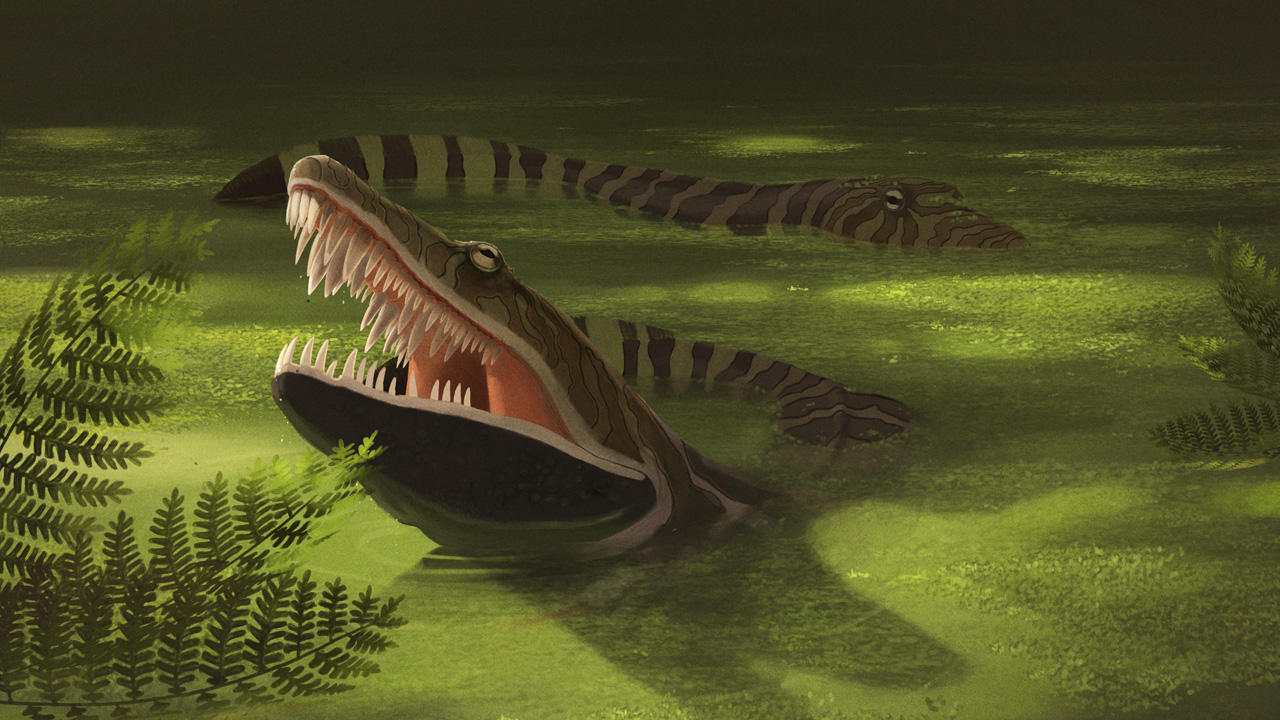 Anthracosaurus russeli by jconway
