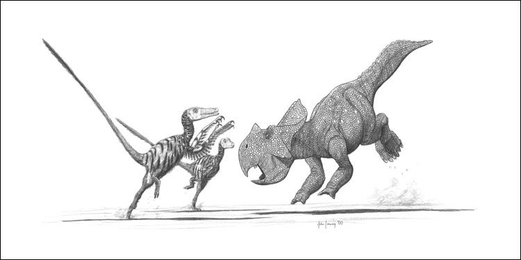 Velociraptor and Protoceratops by jconway