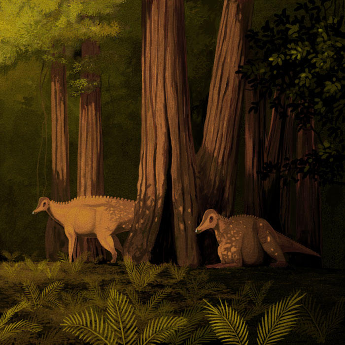Corythosaurus casuarius by jconway