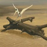 Pterodactylus kochi landing by jconway