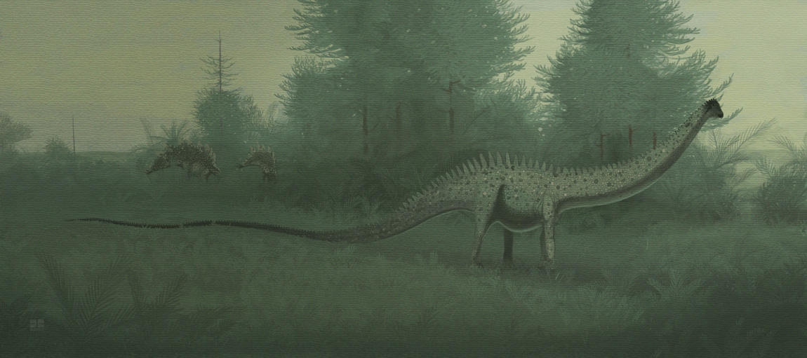 Diplodocus longus by jconway