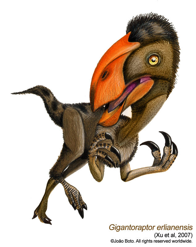 Gigantoraptor erlianensis V.2 by Sputatrix