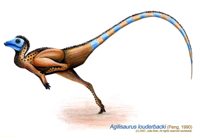 Agilisaurus louderbacki by Sputatrix