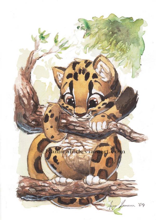 Clouded Leopard by Kamirah