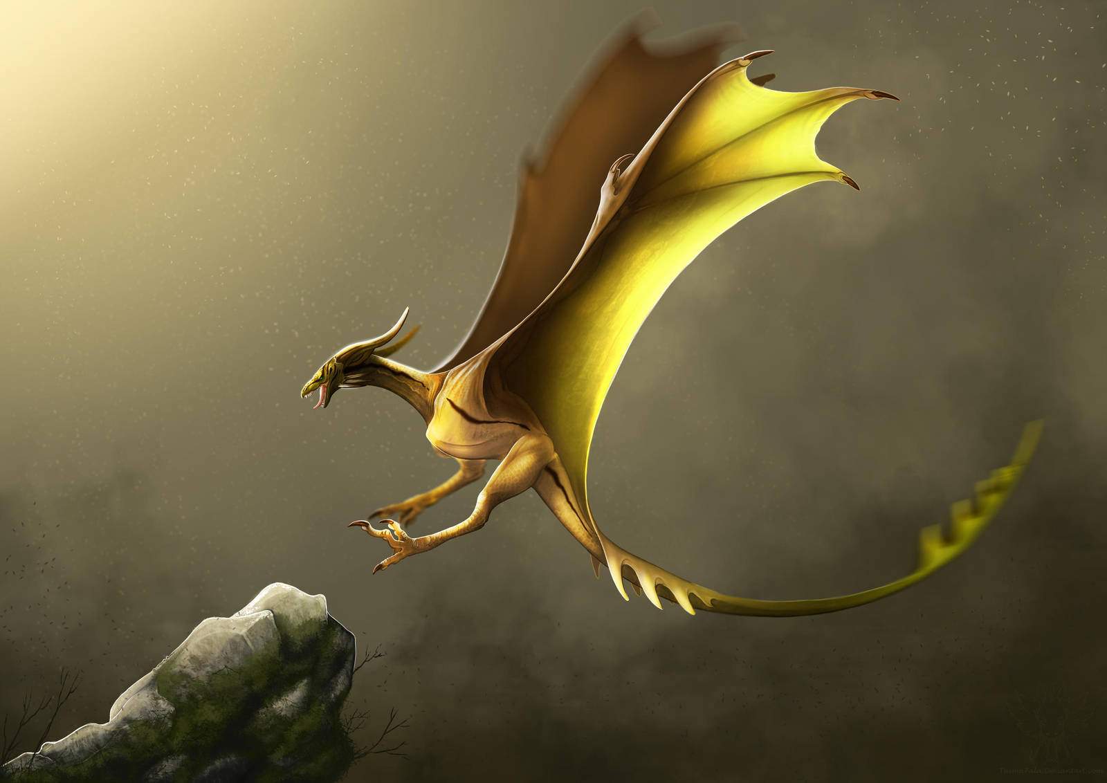 -The Wyvern- by TaimaTala