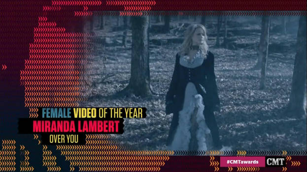 Miranda Lambert Music Video Chrisst Dress by auxcentral