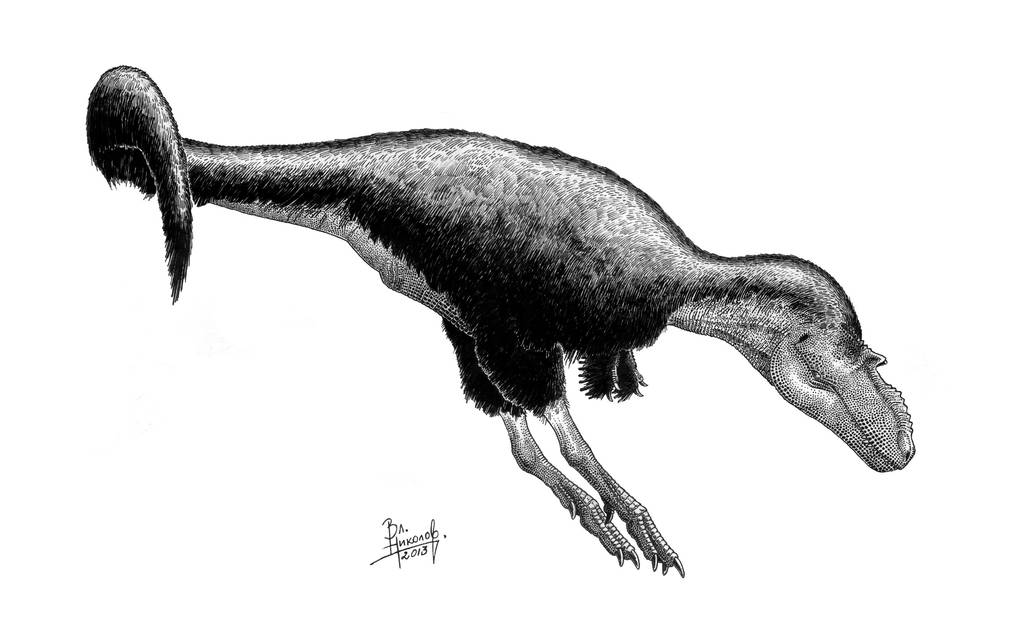 Gorgosaurus libratus by T-PEKC