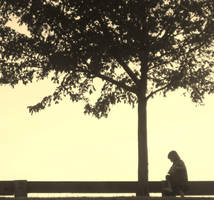 Underneath the Tree by SnapshotsAtMidnight