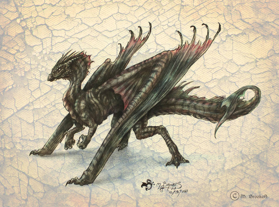 Dragon Concept by she1badelf
