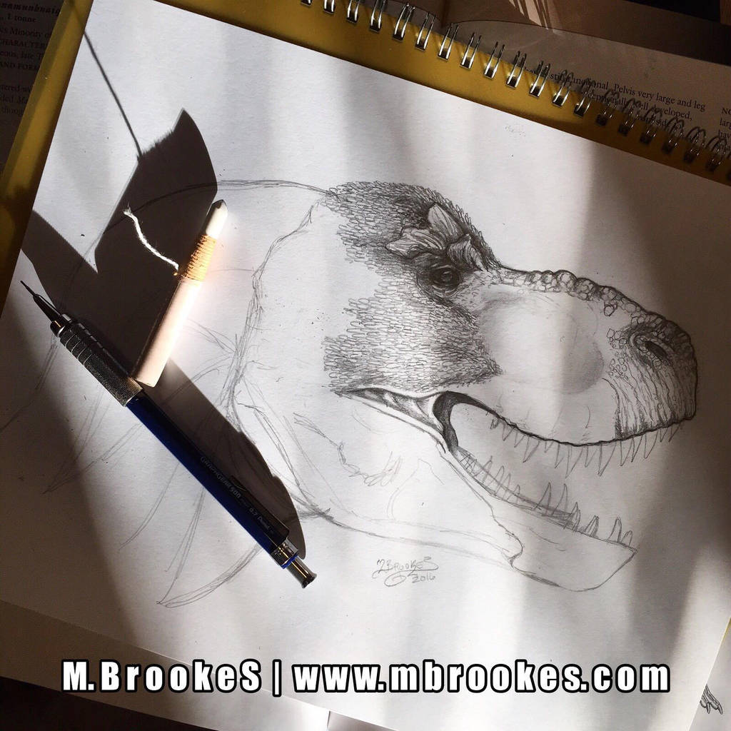 Tyrannosaurus rex Study by she1badelf