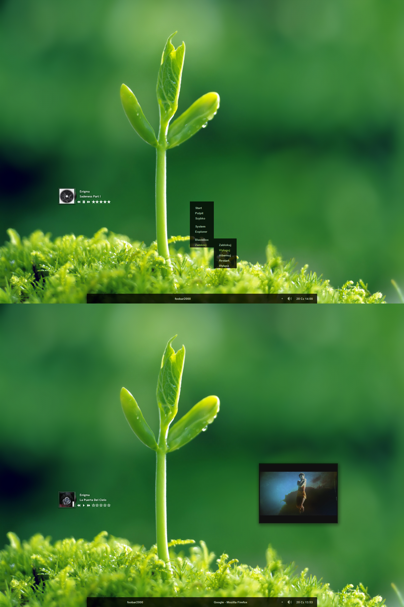 Minimal Nature Leaf by FataMorgana2012