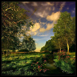 The Other Side of Twilight by rad-ix