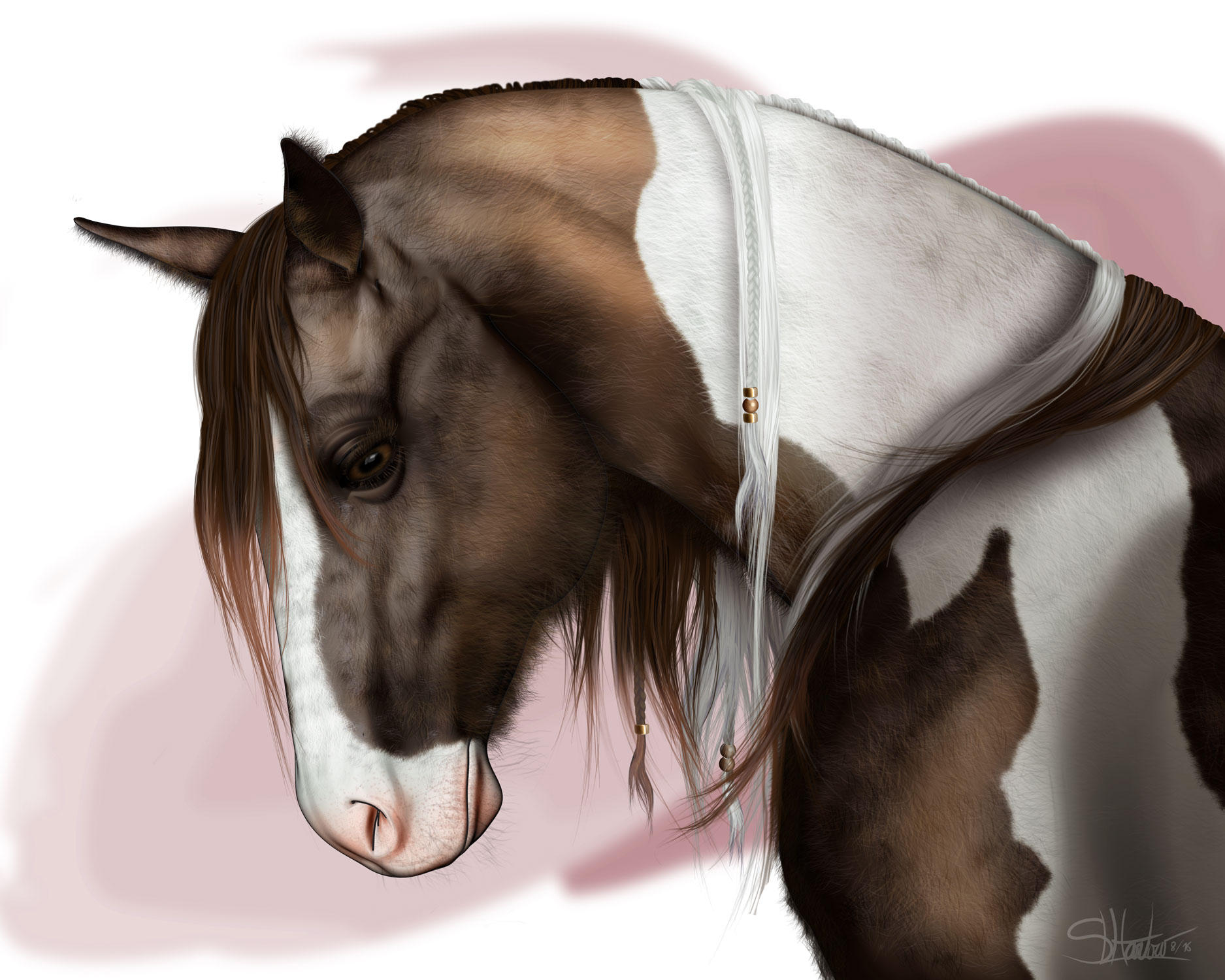 Gypsy Vanner by lilyinblue