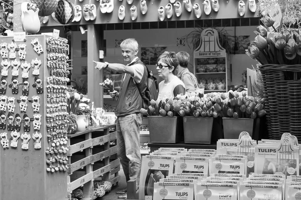 Picking tulips by steppeland
