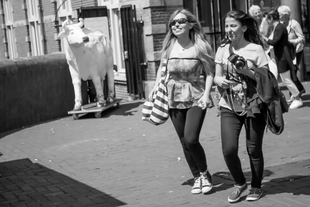 If that cow could whistle... by steppeland