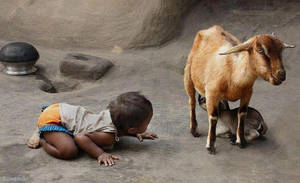 Little ones by xeeshi