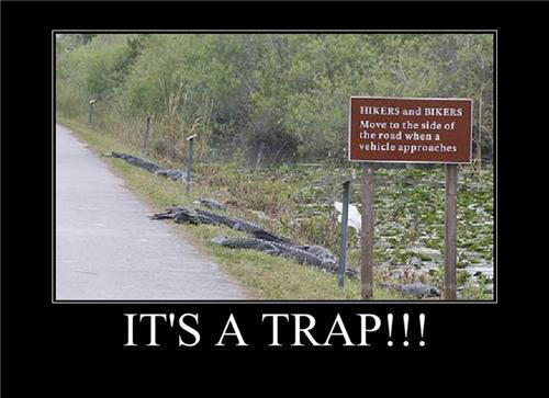 Its a trap by 8901234568766