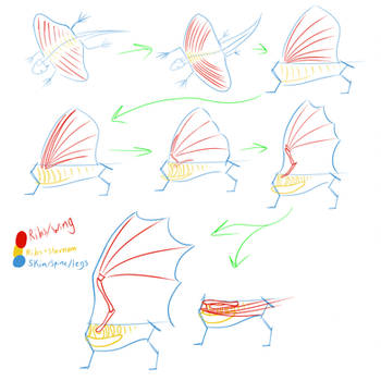 Dragons: Ribs to Wings Evolution Speculation by horse14t