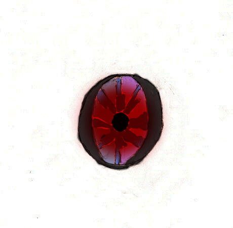 Damaged Mizer by Sporthand