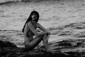 The Lonely Shore (monochrome) by QueenWerandra