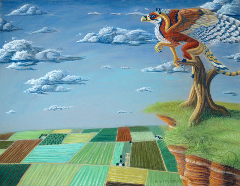 Kywehn over Farmland by lantairvlea