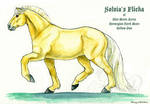Solvia's Flicka by lantairvlea