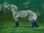 DCCS-10 Odin in Halter by lantairvlea