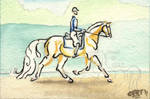 sVa MMshow- A Classic Finish Dressage by lantairvlea