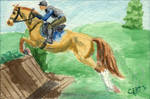 sVa MMshow- Beatenpath XC by lantairvlea