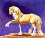 2010 ND Champ Isabella d'Oro take two by lantairvlea