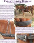 Pleasure Driving Harness I by lantairvlea