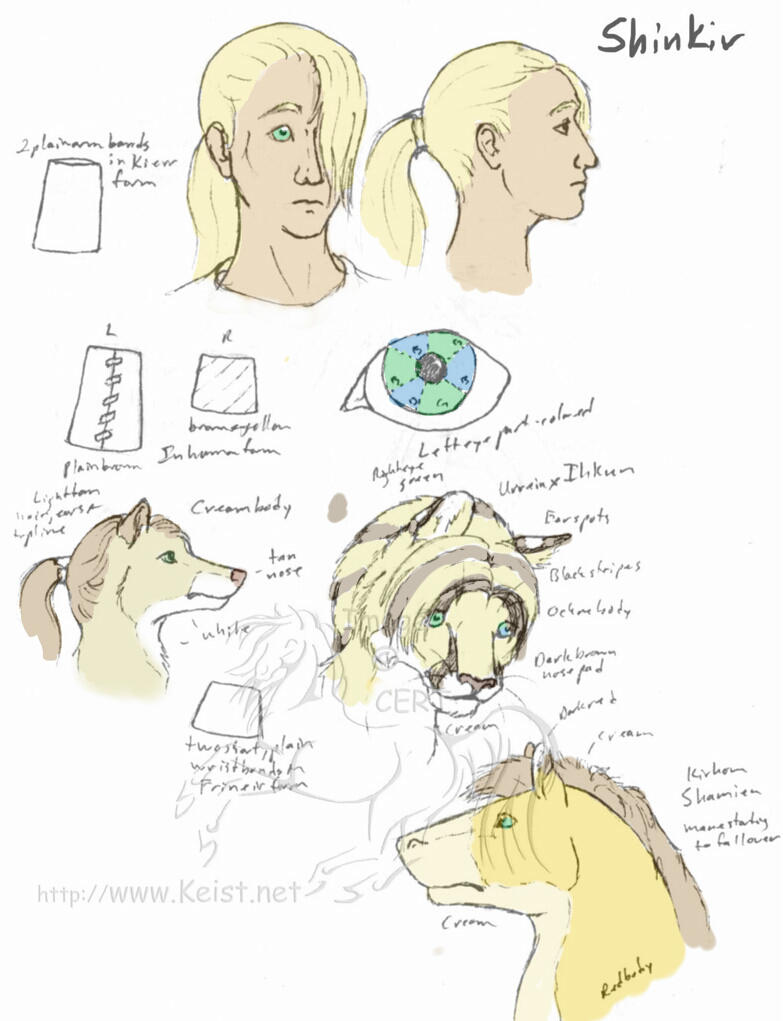 Shinkir color test by lantairvlea
