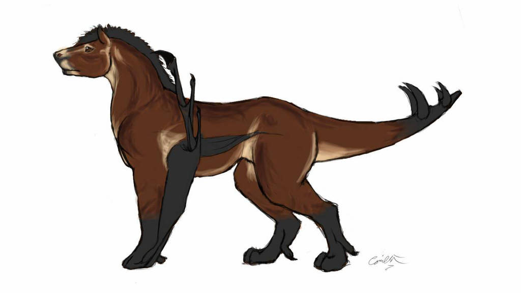 Shami'en Colors by lantairvlea