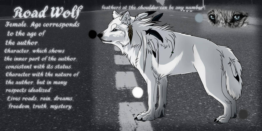 Road wolf refference by WolfRoad