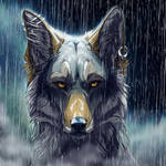 Icon comm ~ColinLeighton by WolfRoad