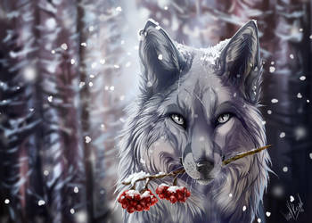 Frozen by WolfRoad