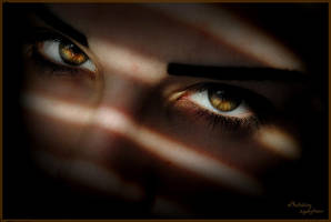 Target 2 by KarmaleonA