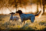 Pointer XXX 2009 by TiLa