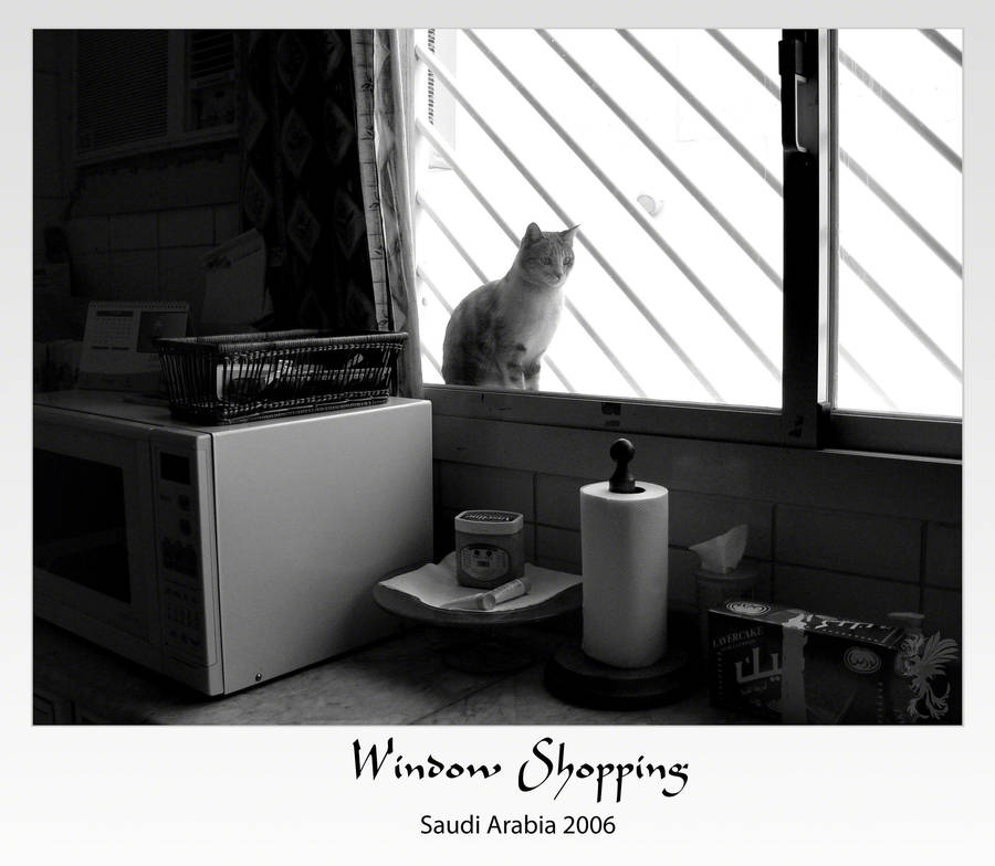 Window Shopping by alaaelfadel