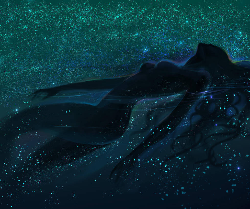 Summernight by anndr