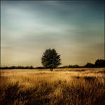 05 by Irk-in