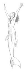 2456683 Mermaid by empyrean