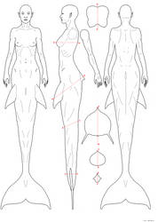 Mermaid anatomy by empyrean