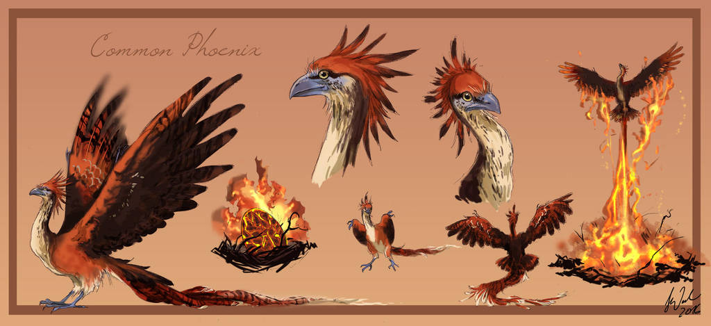 Common Phoenix by Toradh
