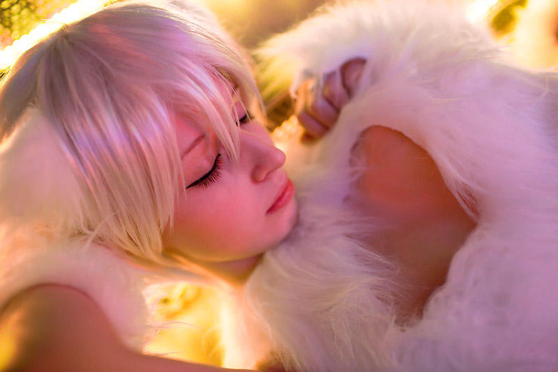 Want a Kitty too? by ChristophGerlach