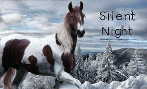Silent Night by RojoManipulation